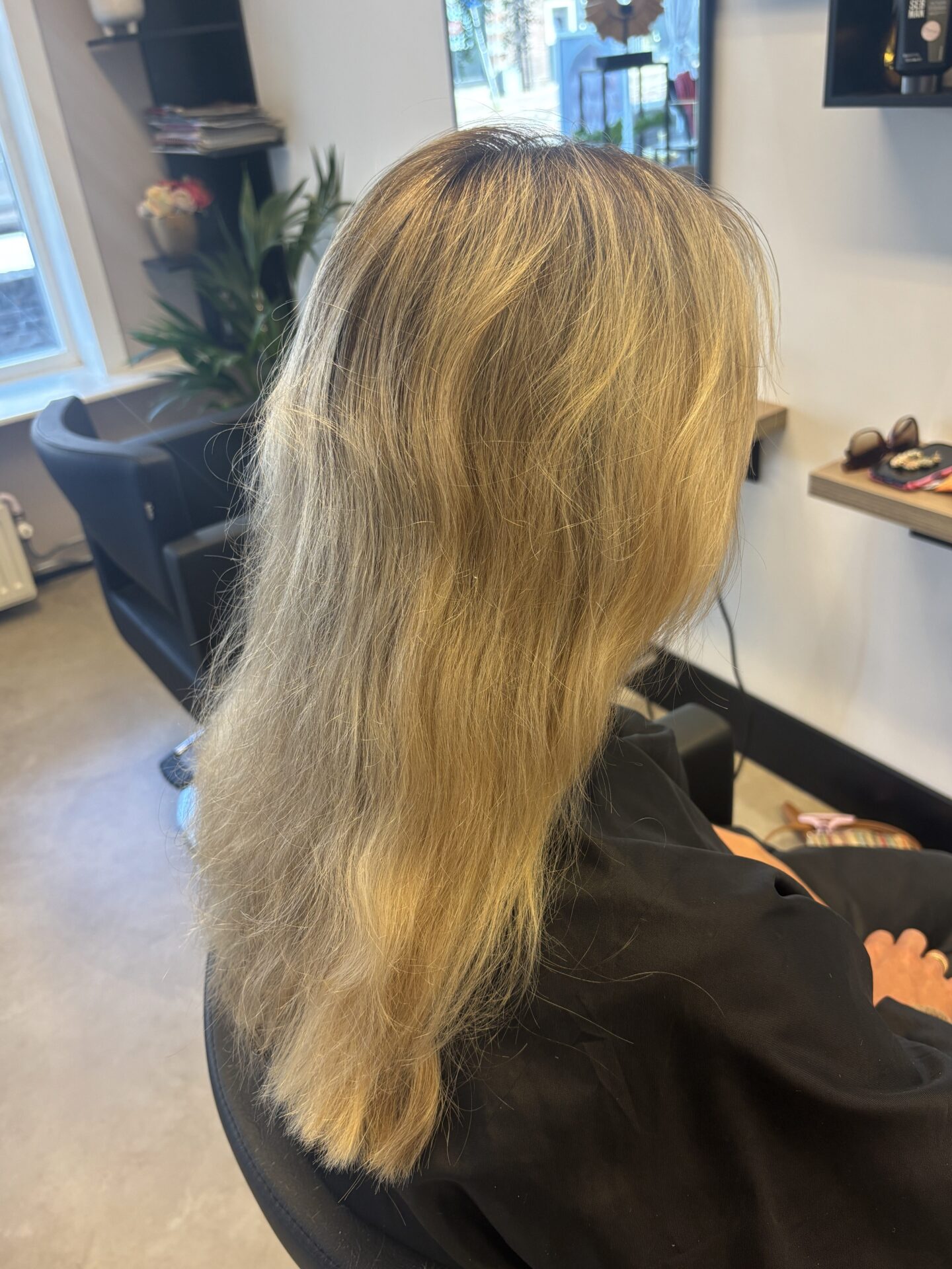 Highlights